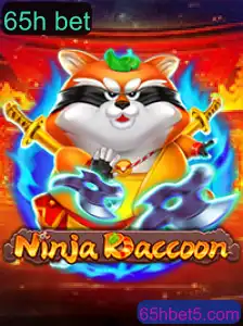Desvendando NinjaRaccoon e a Chave do Sucesso em 65h Bet